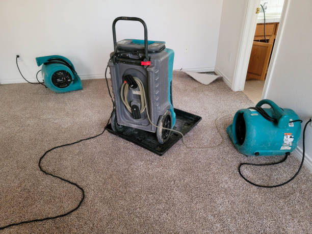 Best Ceiling water damage repair  in Clinton, MO
