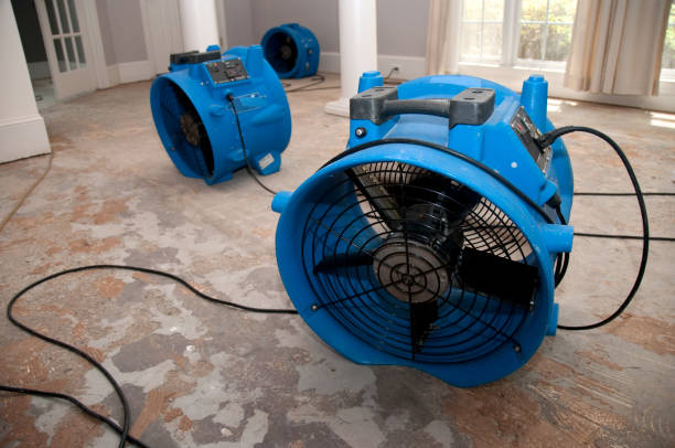 Best Water damage cleanup near me  in Clinton, MO