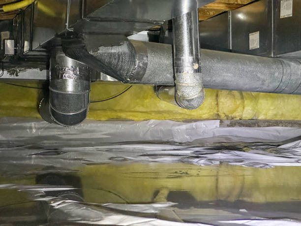 Best Flood restoration services  in Clinton, MO