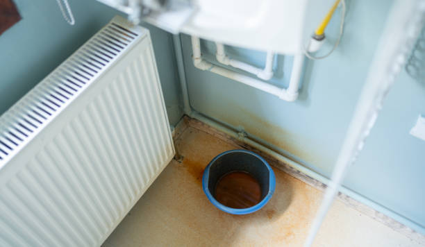 Best Carpet water damage restoration  in Clinton, MO